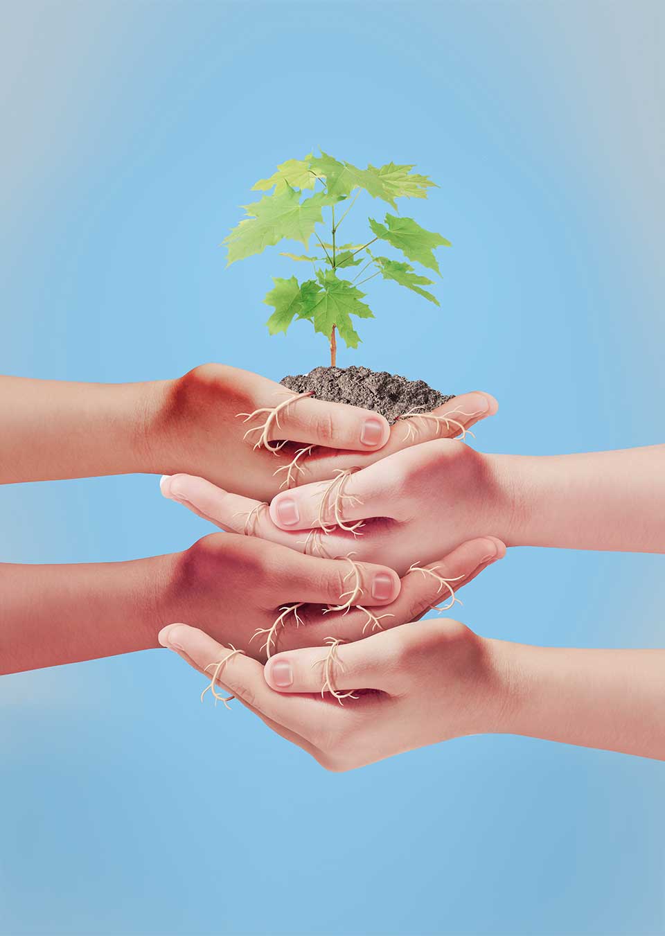 Zusammenarbeit in der Psychotherapie sorgt für Wachstum